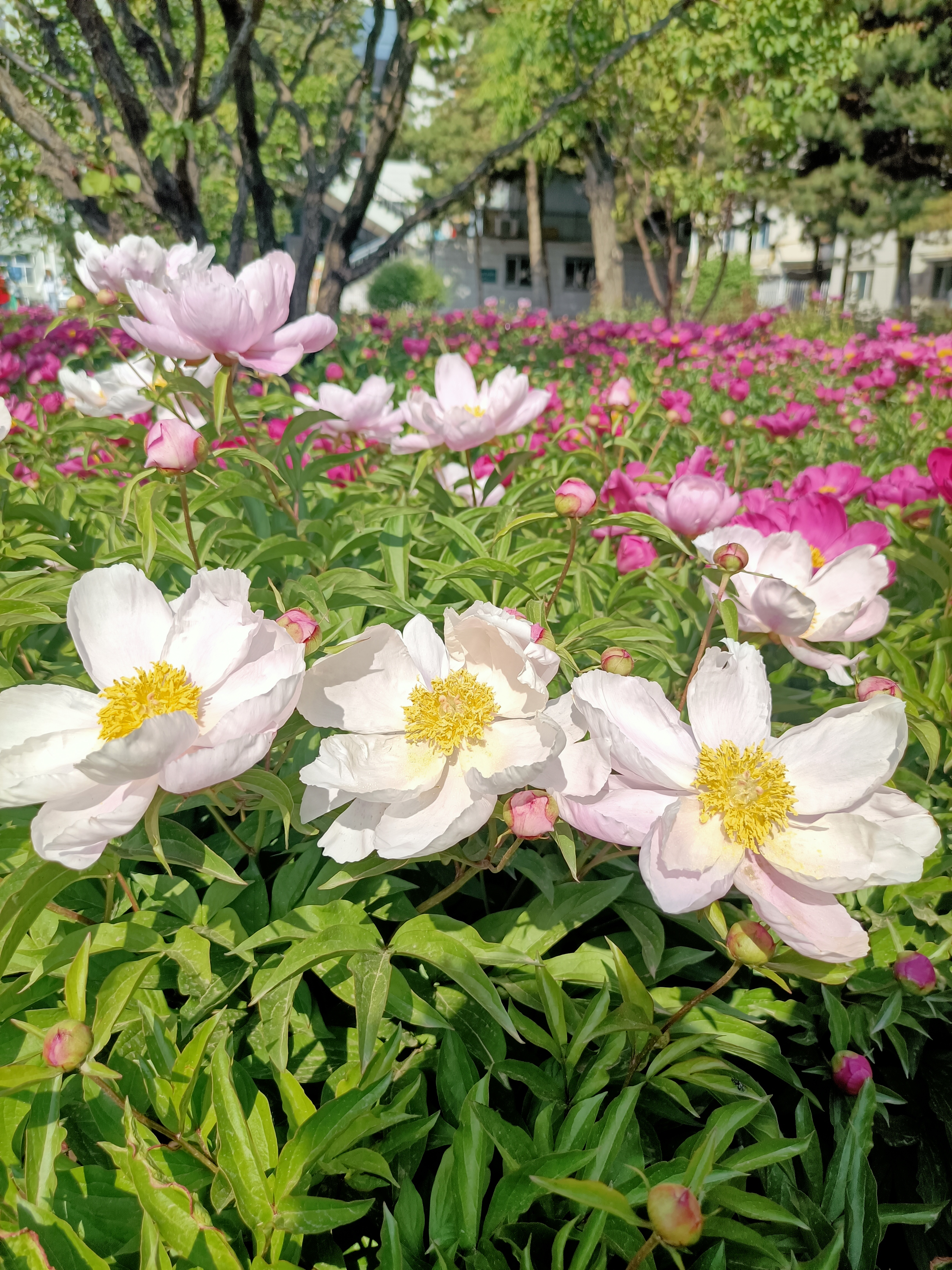 微信图片_20230621154920.jpg