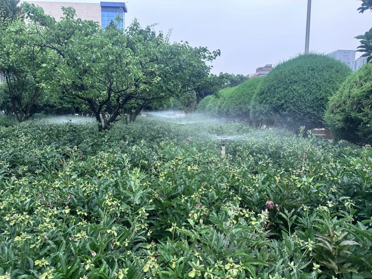 微信图片_20250701091515.jpg